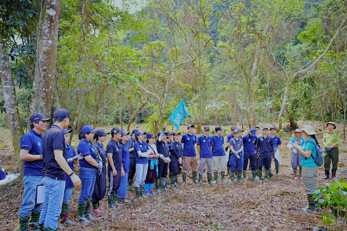 Mitsibishi Motors Việt Nam đồng hành cùng Gaia trồng 2.000 cây tại Cúc Phương