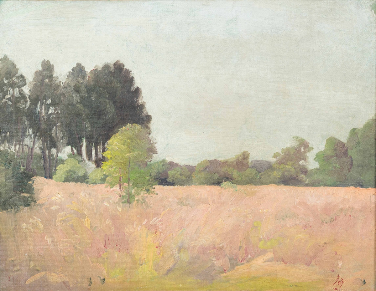 trien lam hoi hoa troi, non, nuoc mot cach nhin khac ve vua ham nghi hinh anh 6