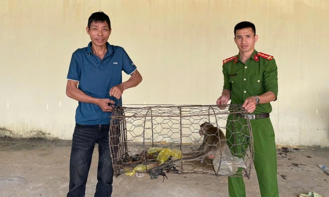 nguoi dan lam Dong tu nguyen giao nop dong vat quy hiem, tha ve rung hinh anh 1