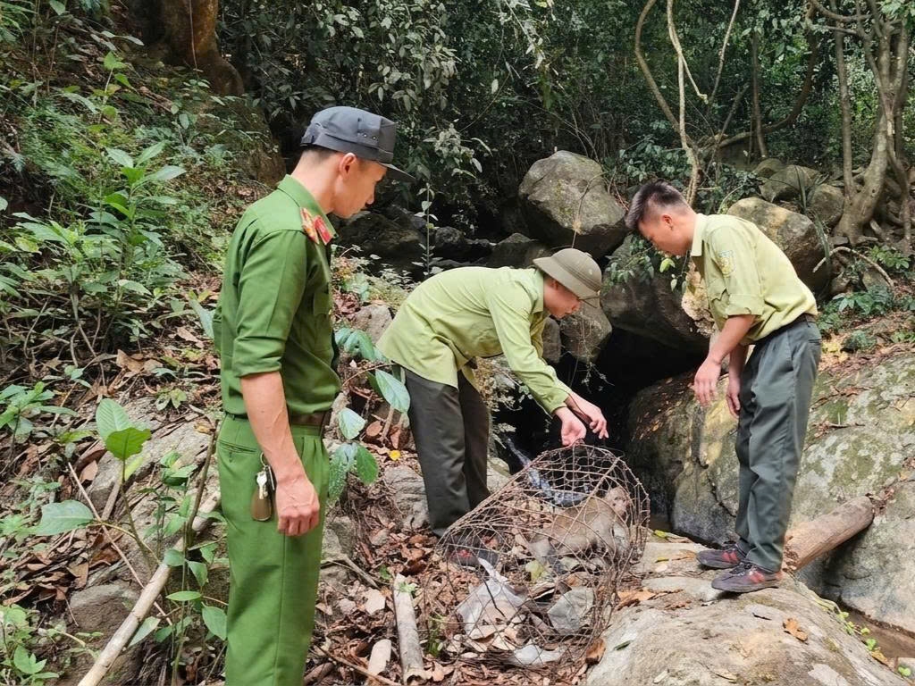 nguoi dan lam Dong tu nguyen giao nop dong vat quy hiem, tha ve rung hinh anh 3