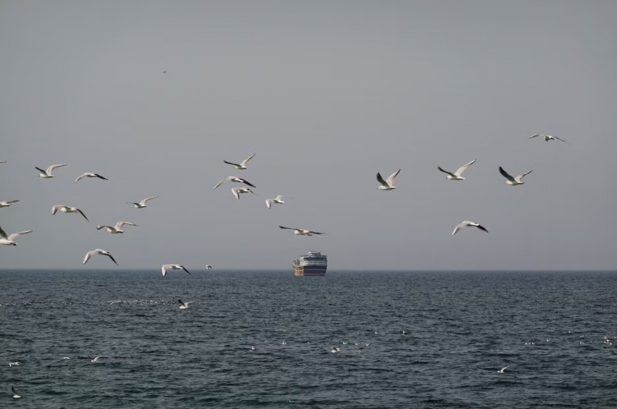 20 tau thuong mai di qua eo hormuz trong 1 ngay hinh anh 1