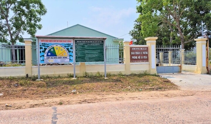 bat tam giam mot truong ban quan ly rung phong ho o gia lai hinh anh 1