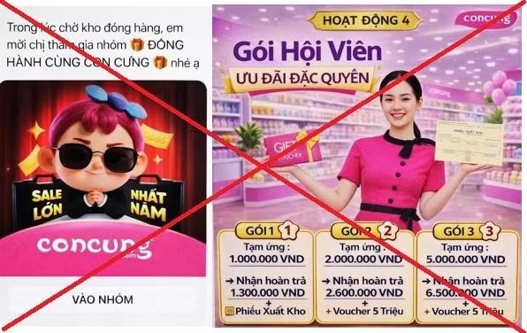 nguoi phu nu bay gan 1 ty dong khi bi lua tham gia nhom Dong hanh cung con cung hinh anh 1
