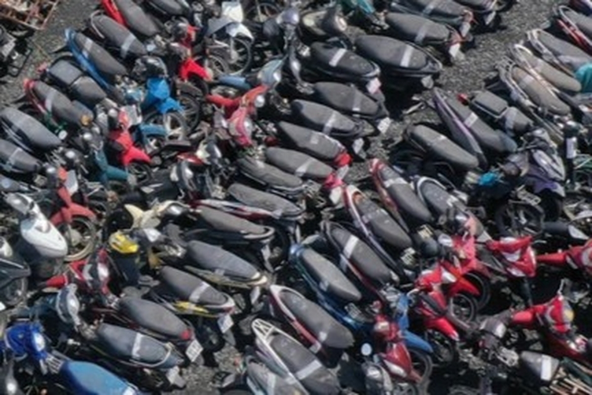 ca mau csgt tim chu hon 3.600 phuong tien tam giu qua han hinh anh 1