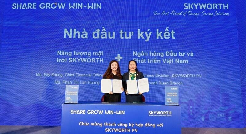 thi truong dien don lan song dau tu moi hinh anh 1