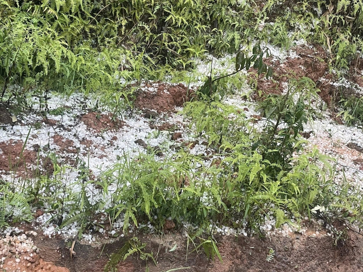 mua da kem dong loc gay thiet hai tai tinh Dien bien hinh anh 1