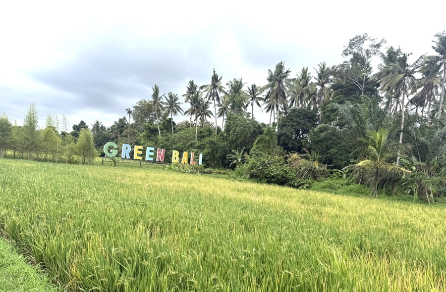 Dong nam A doi mat el nino, nguy co khung hoang luong thuc gia tang hinh anh 1
