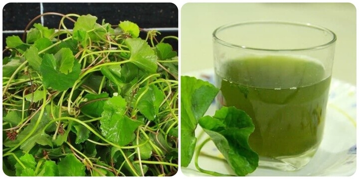 nuoc rau ma duoc yeu thich trong mua he, nhung nguoi khong nen uong hinh anh 1