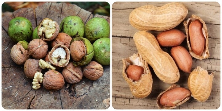 nhung loai hat ho tro giam huyet ap, tot cho tim mach hinh anh 1