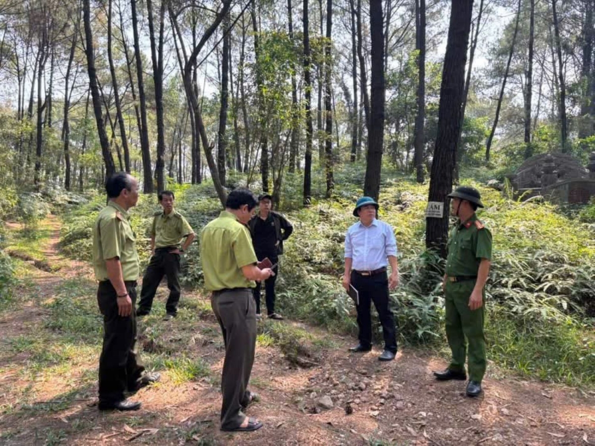 hue giu rung giua cao diem nang nong dac biet gay gat hinh anh 5