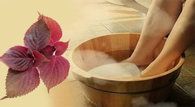 nhieu nguoi mach dung la tia to chua gout co nen ap dung hinh anh 1