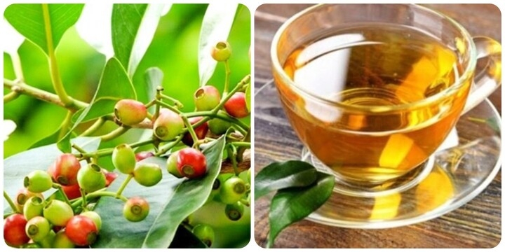 bai thuoc chua benh tu la voi hinh anh 1