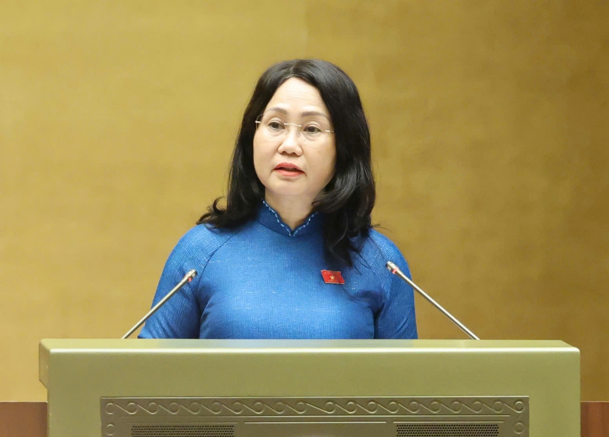 quoc hoi chot ngay nghi le 24 11, huong nguyen luong hinh anh 1