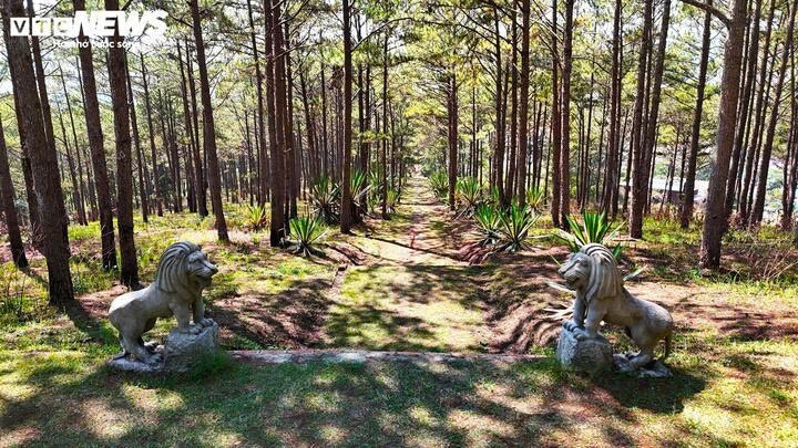 ve tham noi dat lang mo cua than phu nam phuong hoang hau hinh anh 13