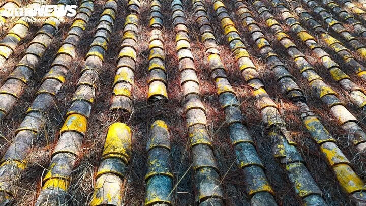 ve tham noi dat lang mo cua than phu nam phuong hoang hau hinh anh 16