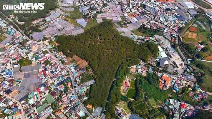 ve tham noi dat lang mo cua than phu nam phuong hoang hau hinh anh 2