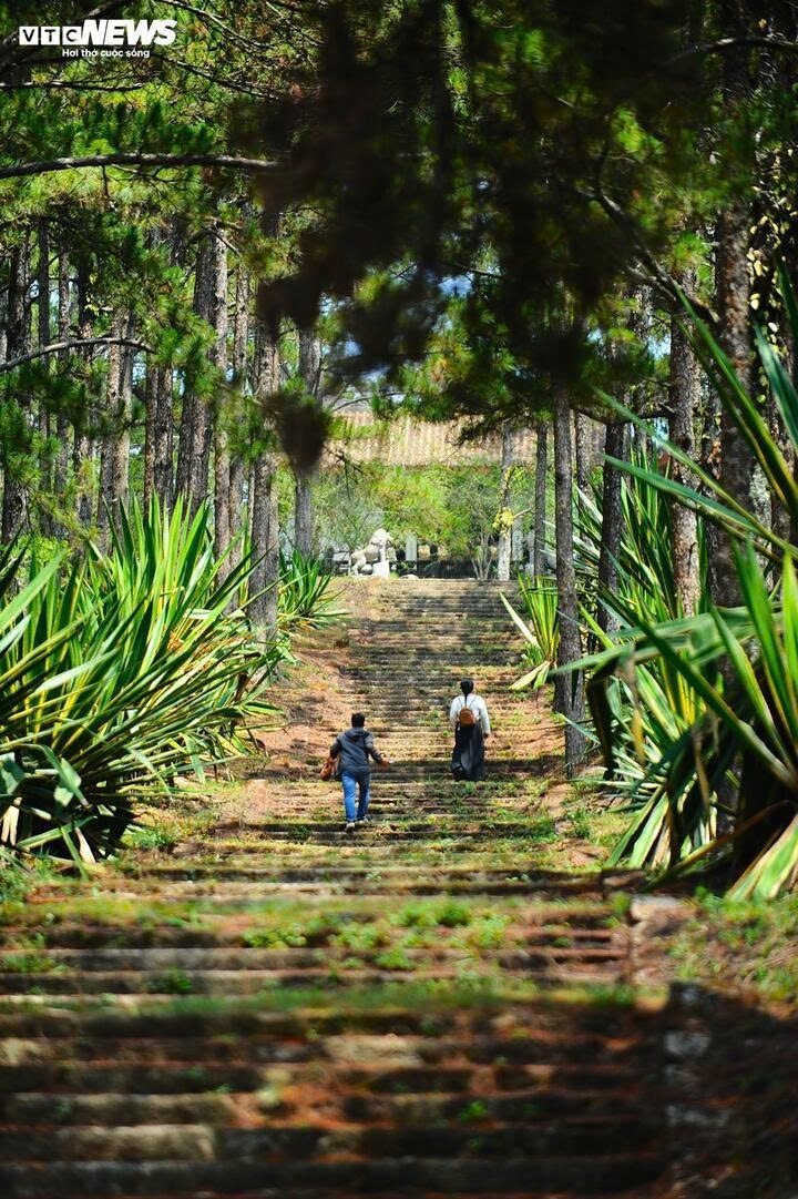 ve tham noi dat lang mo cua than phu nam phuong hoang hau hinh anh 7