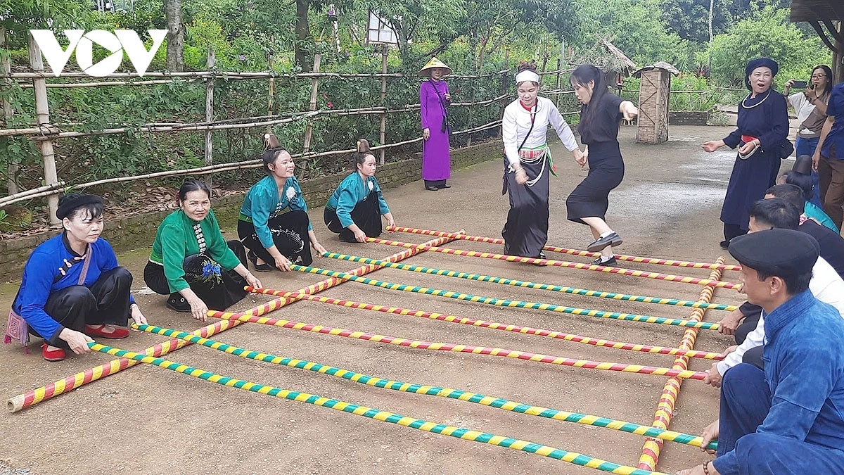 chuoi hoat dong van hoa, nghe thuat dac sac mung ngay van hoa cac dan toc viet nam hinh anh 2
