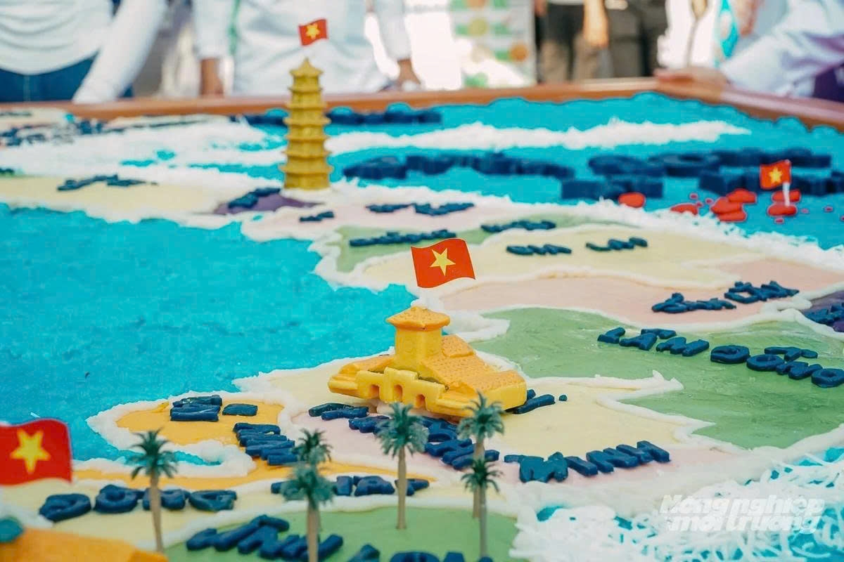 can tho sets record with giant vietnam map made of sticky rice, coconut milk picture 1