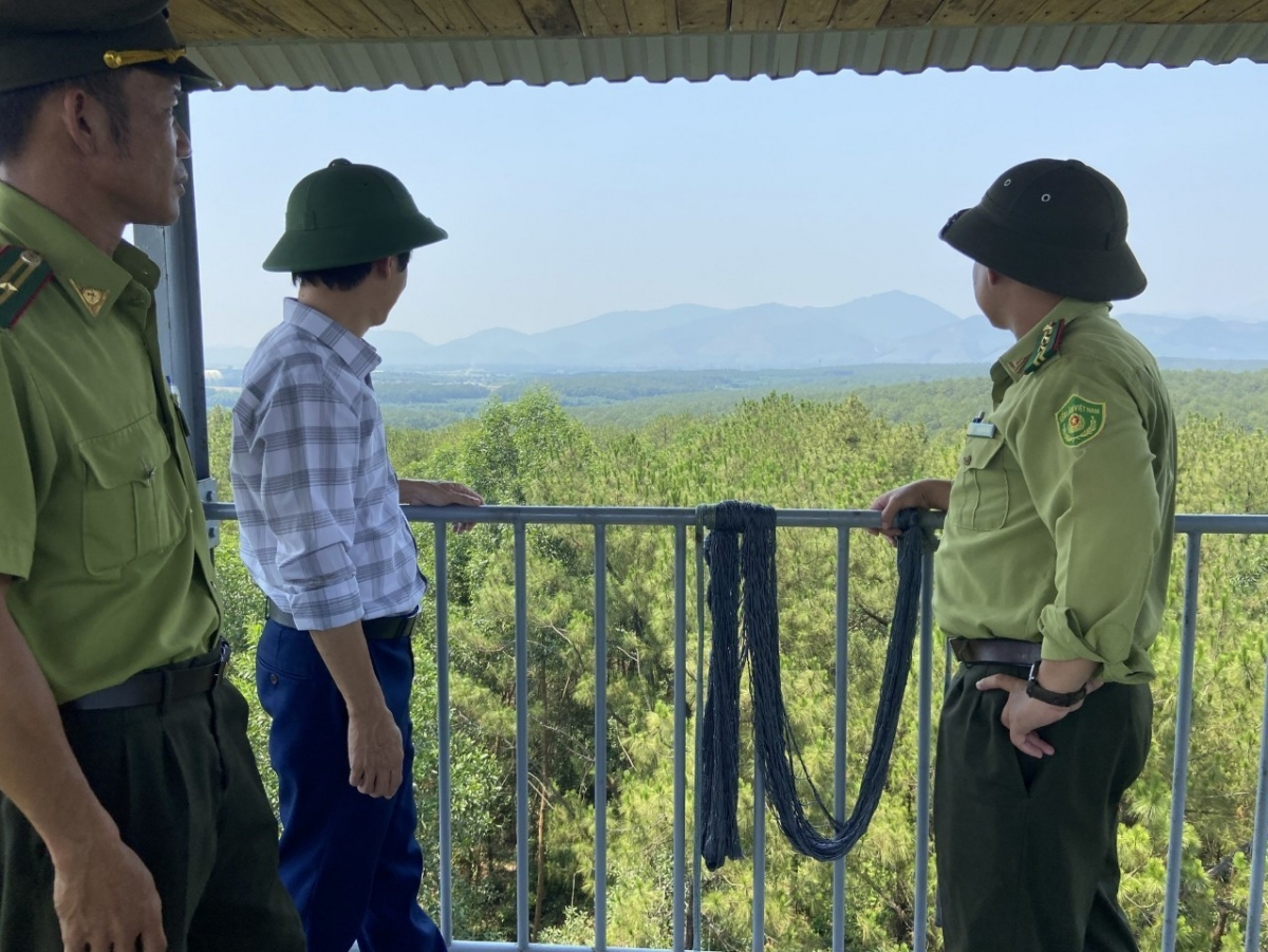 hue giu rung giua cao diem nang nong dac biet gay gat hinh anh 3