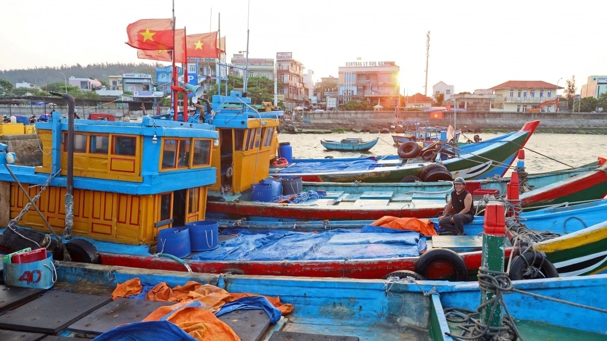 simple beauty of life at dawn in ly son port picture 10