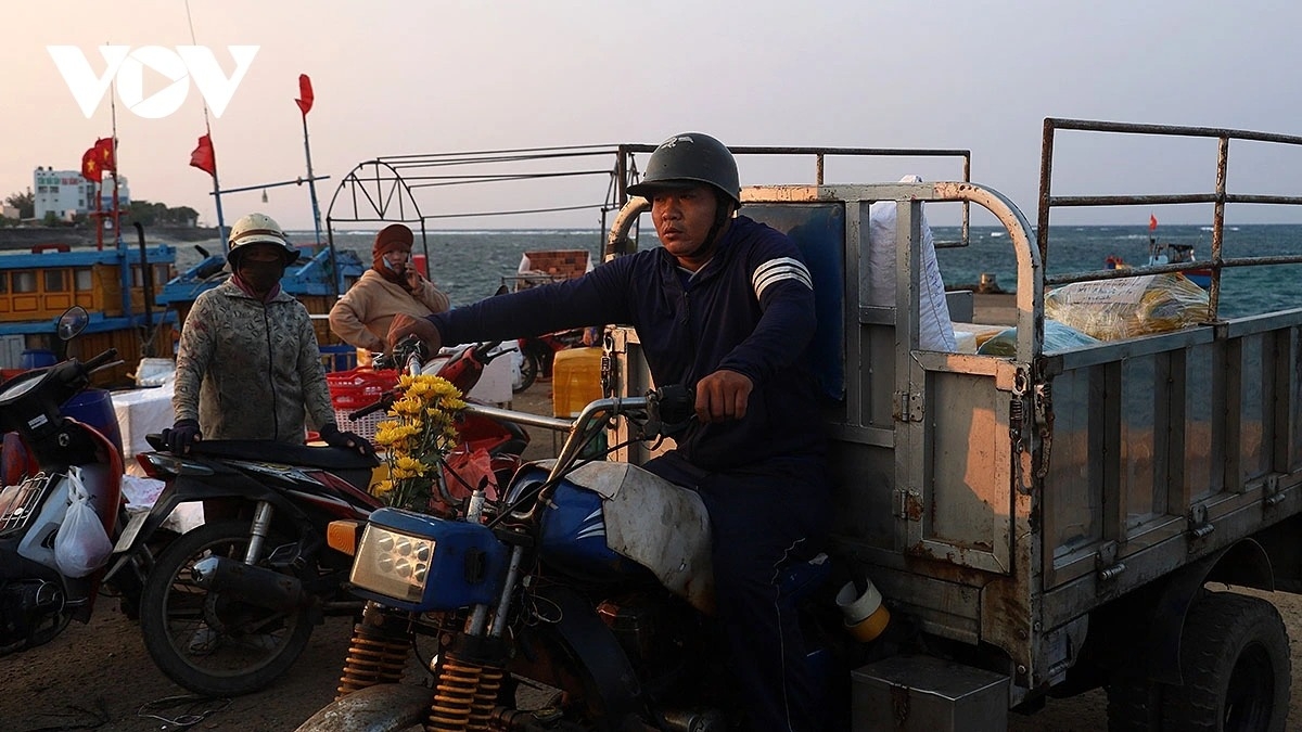 simple beauty of life at dawn in ly son port picture 12