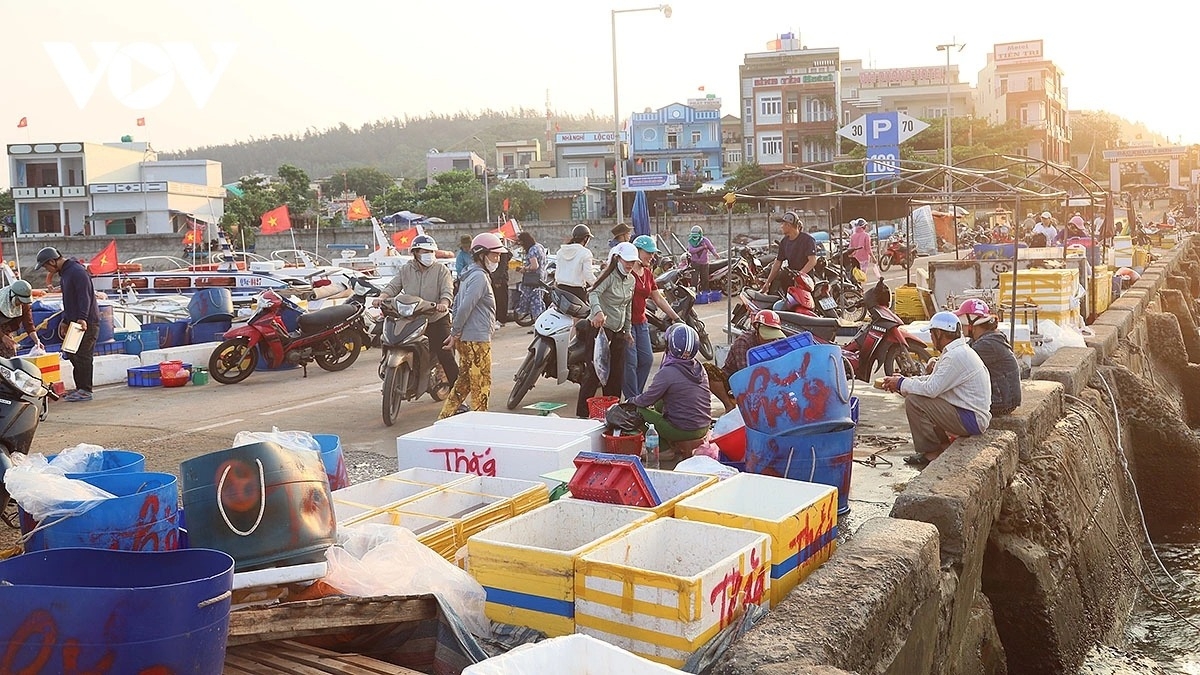 simple beauty of life at dawn in ly son port picture 17