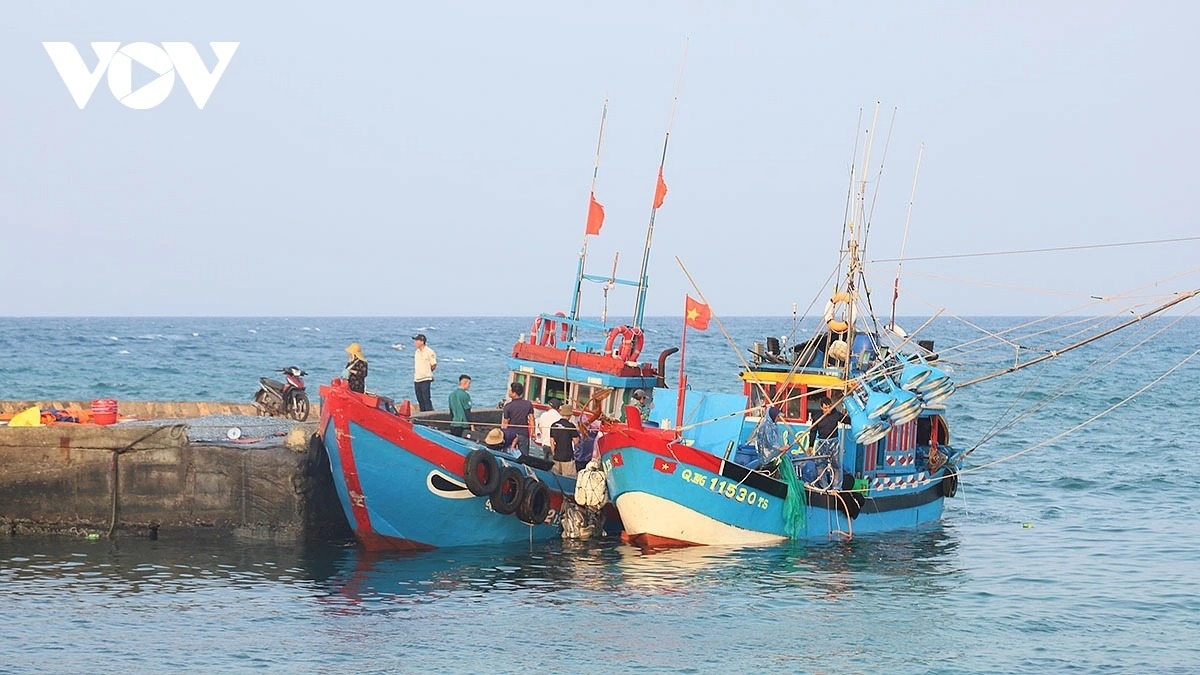 simple beauty of life at dawn in ly son port picture 19