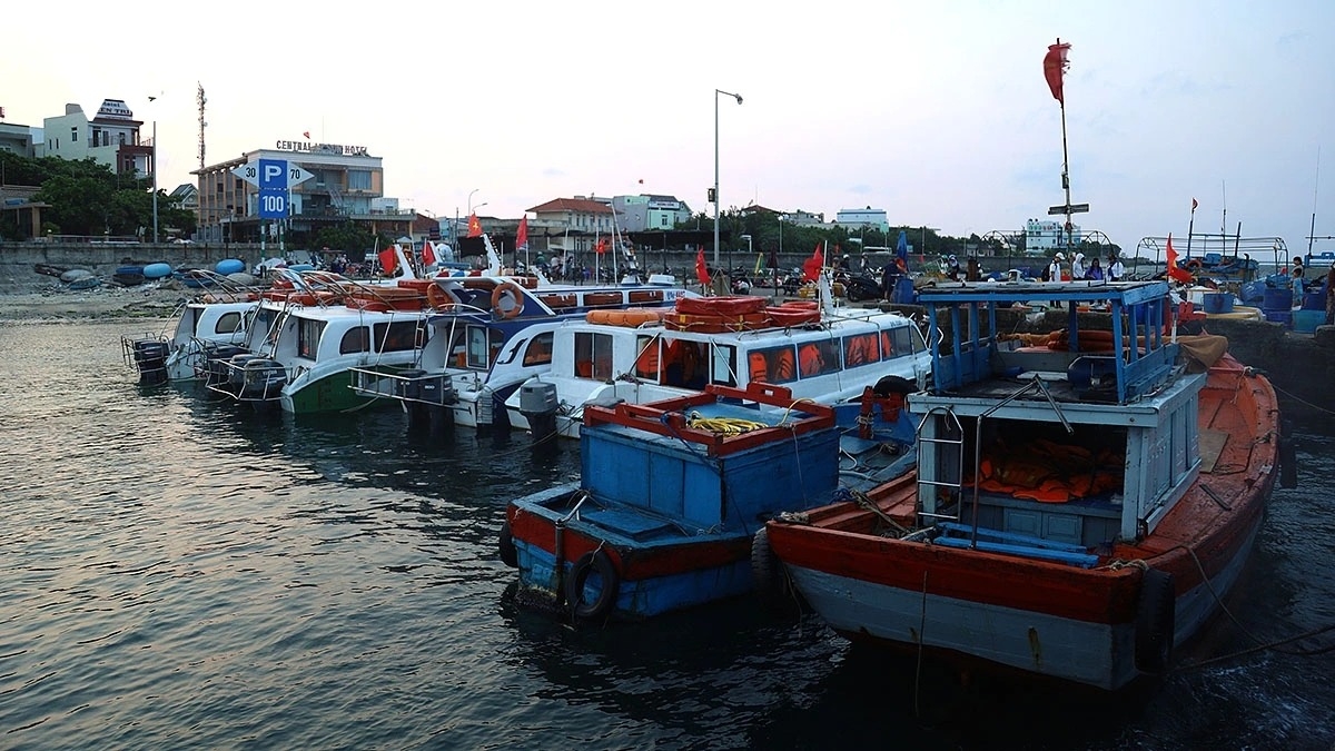 simple beauty of life at dawn in ly son port picture 1