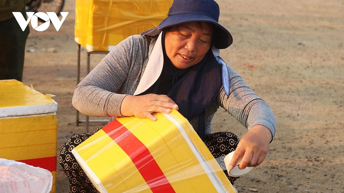 simple beauty of life at dawn in ly son port picture 20