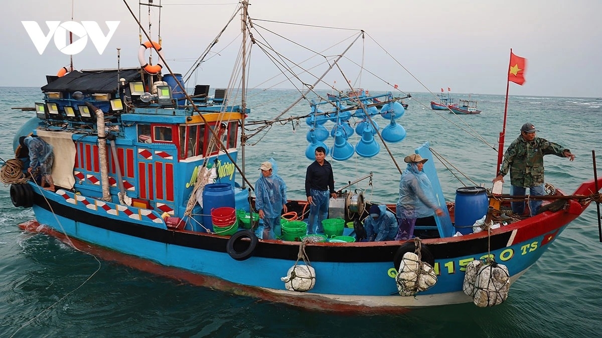 simple beauty of life at dawn in ly son port picture 2