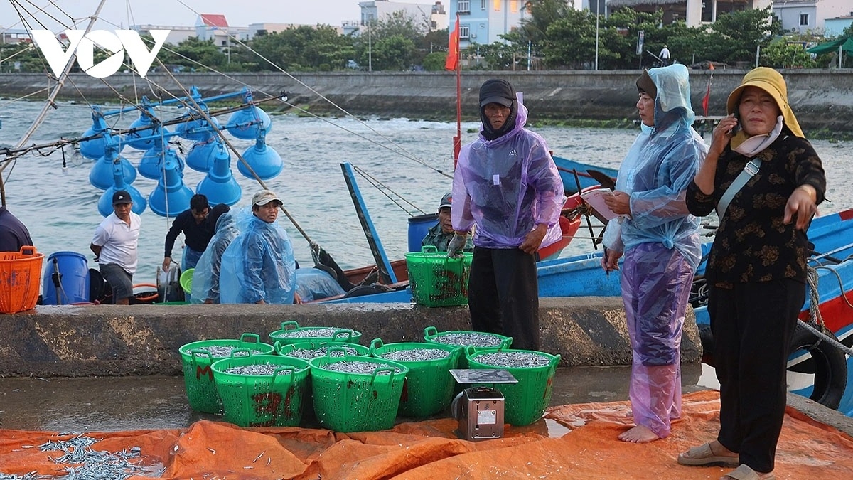 simple beauty of life at dawn in ly son port picture 7