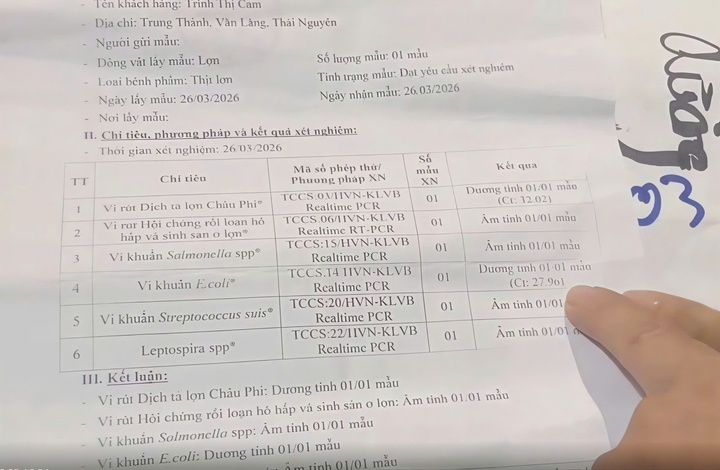 thai nguyen lam ro nghi van truong mam non cho tre an thit lon nhiem dich ta hinh anh 3