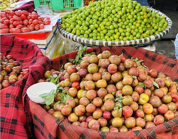 son la tieu thu gan 30.000 tan qua, thu ve gan 630 ty dong trong quy i nam nay hinh anh 4