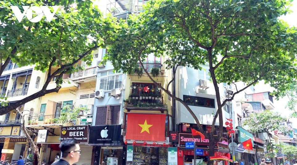 national flags a familiar sight on city streets picture 4