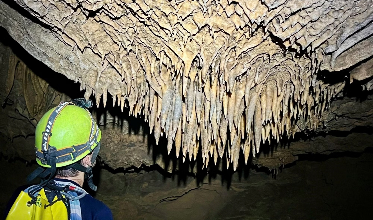 26 new caves discovered in phong nha - ke bang national park picture 1