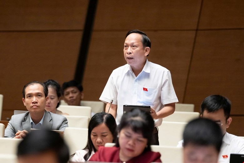 Dbqh nhieu kien nghi cua cu tri chua duoc giai quyet den cung hinh anh 2