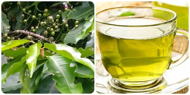 uong nuoc la voi tuoi moi ngay co tot khong hinh anh 1