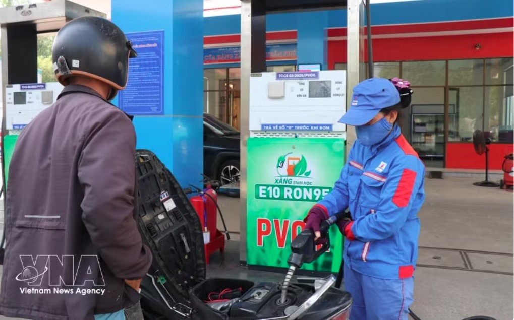 dung quat biofuel plant set for full-capacity operations in april picture 1