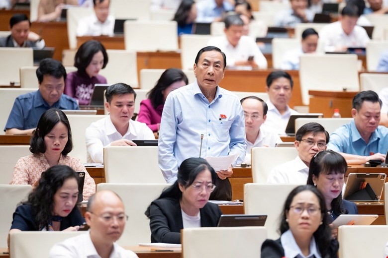 Dau thau gia thap giam hieu qua dau tu, dai bieu quoc hoi de nghi som sua luat hinh anh 2