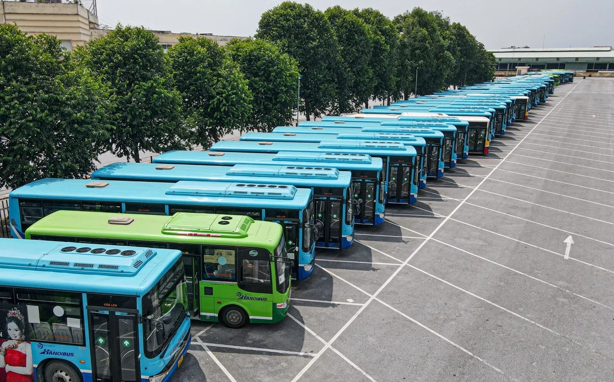 Hanoi studies expansion of free bus fares as HCM City proposes full fare waiver