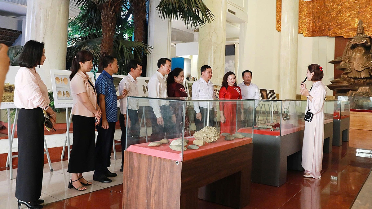 trung bay chuyen de van hoa thoi dai hung vuong tinh hoa hoi tu hinh anh 1