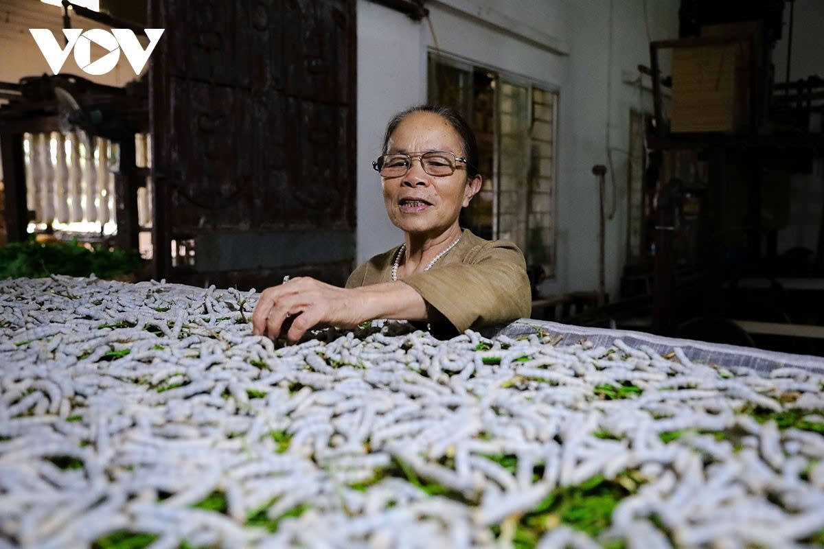 from lotus flower to silk - the unique journey of phung xa village picture 3