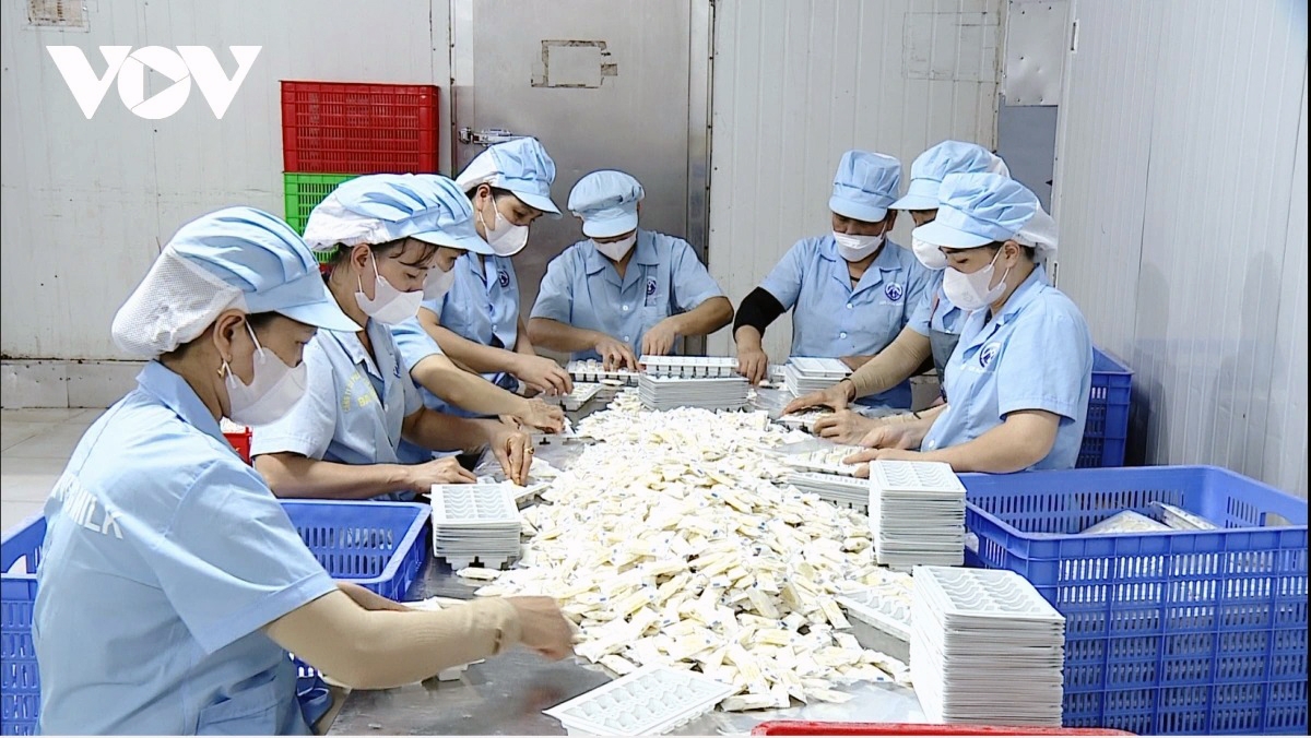 private sector needs stronger policy support for sustainable growth picture 1