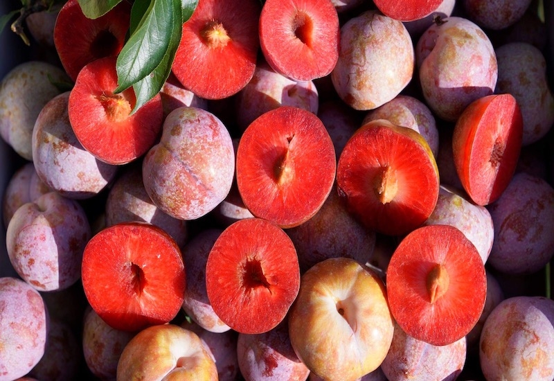 qua man co gi dac biet ma duoc danh gia cao ve dinh duong hinh anh 1