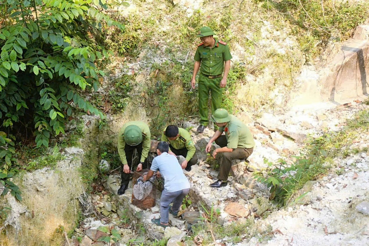 ran ho mang chua quy hiem bo vao nha dan, duoc tha ve rung hinh anh 2