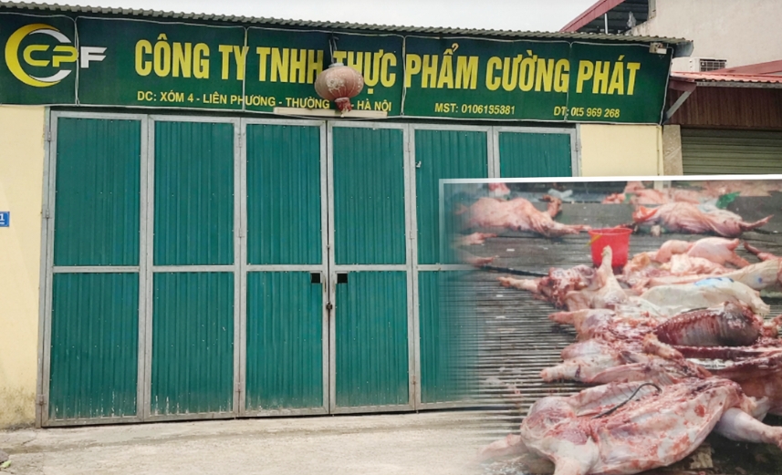 giam doc cong an tp ha noi lam ro cac can bo lien quan vu 300 tan thit lon benh hinh anh 2