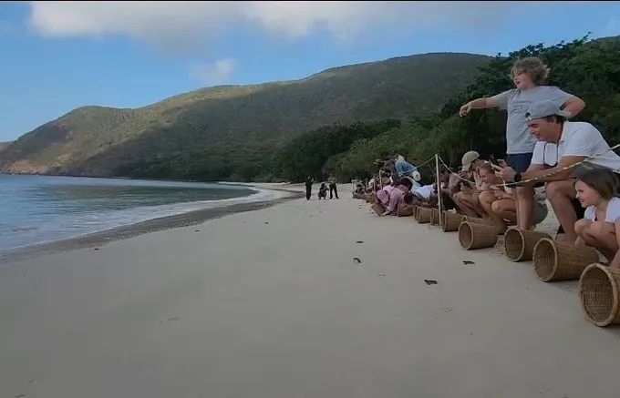 over 5,600 sea turtle hatchlings released into the sea at con dao national park picture 1