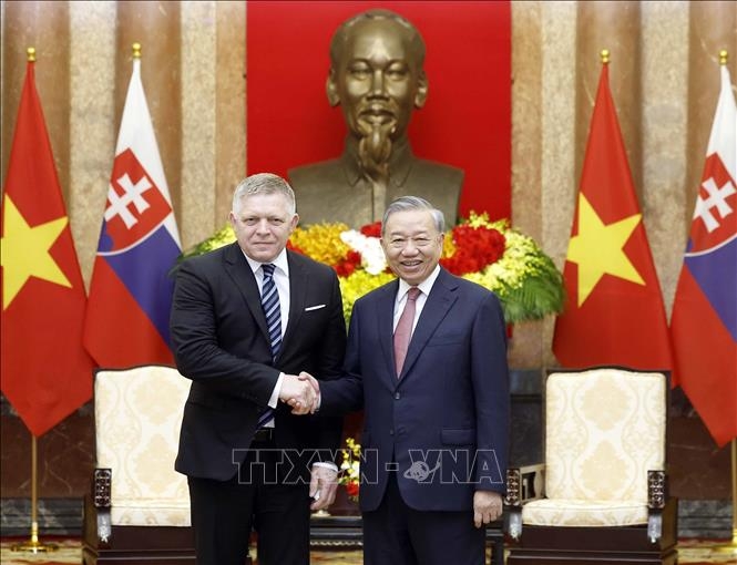tong bi thu, chu tich nuoc to lam tiep thu tuong slovakia robert fico hinh anh 1