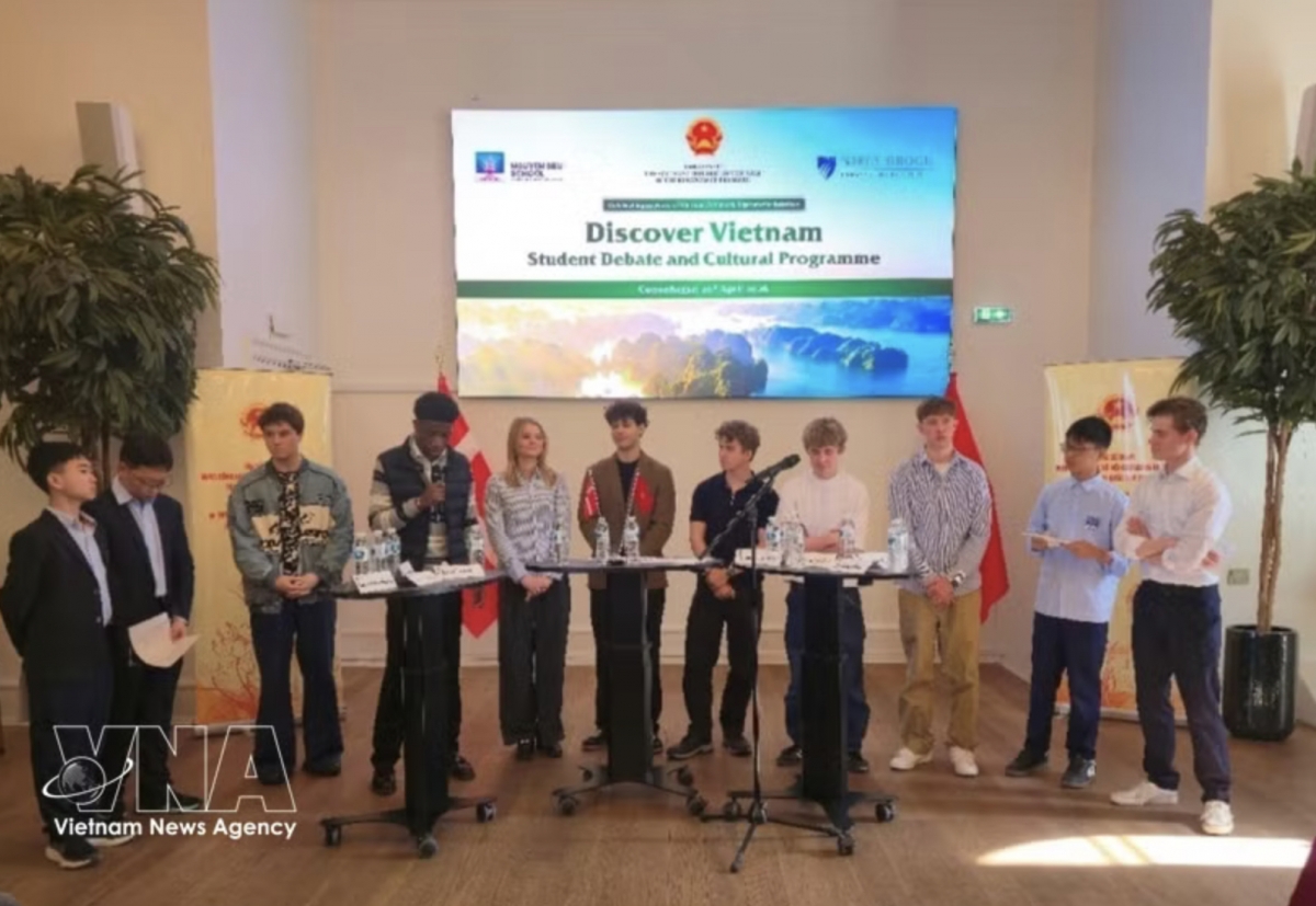 contest connects youth, fosters green growth future for vietnam denmark relations picture 1
